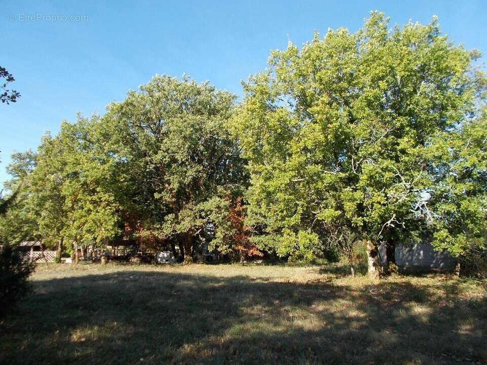 Terrain à LACHAPELLE-AUZAC