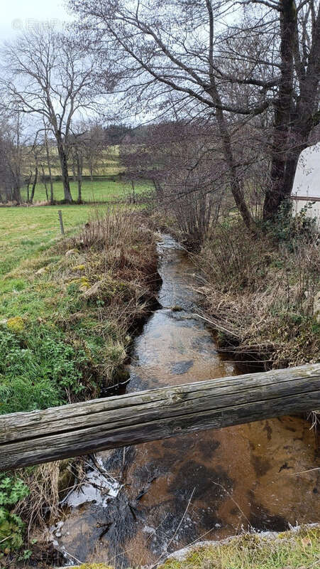 Terrain 1100 m2 Usson-en-Forez - photo 2