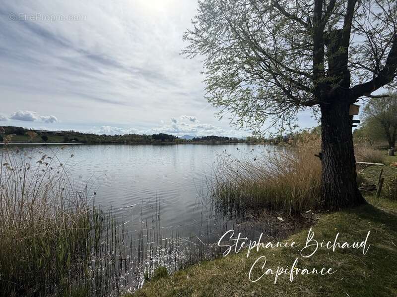 Maison à LA FREISSINOUSE