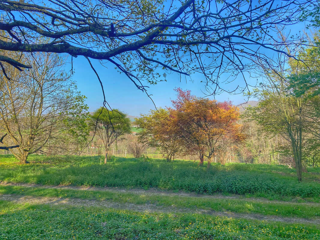 Maison à SAINT-JEAN-PIED-DE-PORT