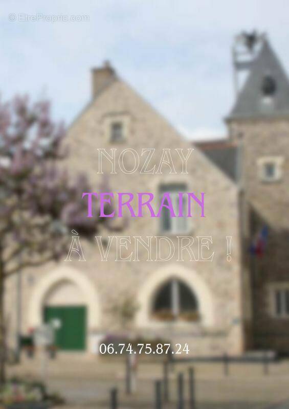 Terrain à NOZAY