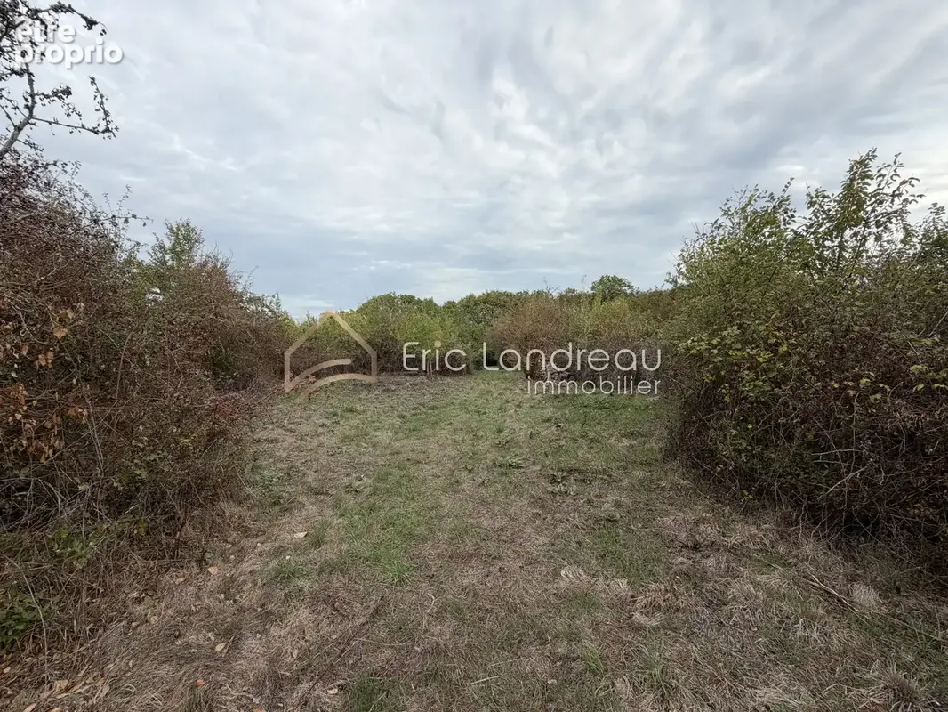 Jard-sur-mer   grand terrain en zone naturelle de 4 600 m2 avec vue sur les marais   un lieu idéal pour se ret - photo 3