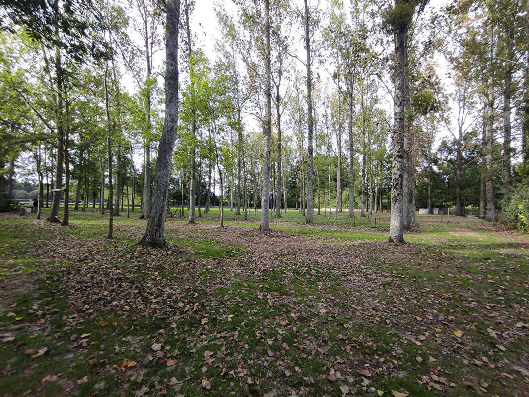 Terrain à SAINT-GEORGES-DE-POINTINDOUX