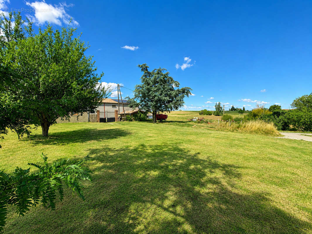 Maison en pierres 95 m2 habitables sur 1000 m2 de terrain avec dépendances - Secteur privilégié de CONDRIEU - photo 2