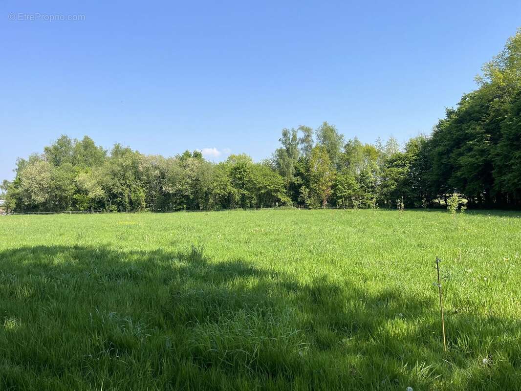 Terrain à TAUPONT