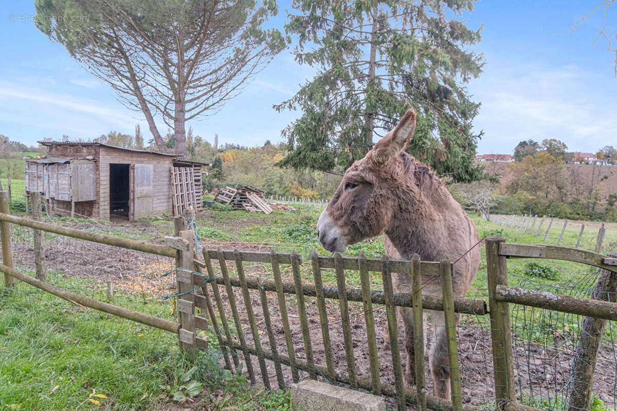 Maison à LABERGEMENT-LES-SEURRE