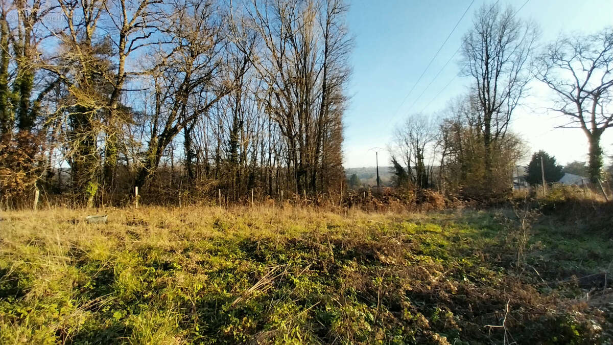 Château l'évêque - Terrain plat et constructible 1400 m2 - photo 3
