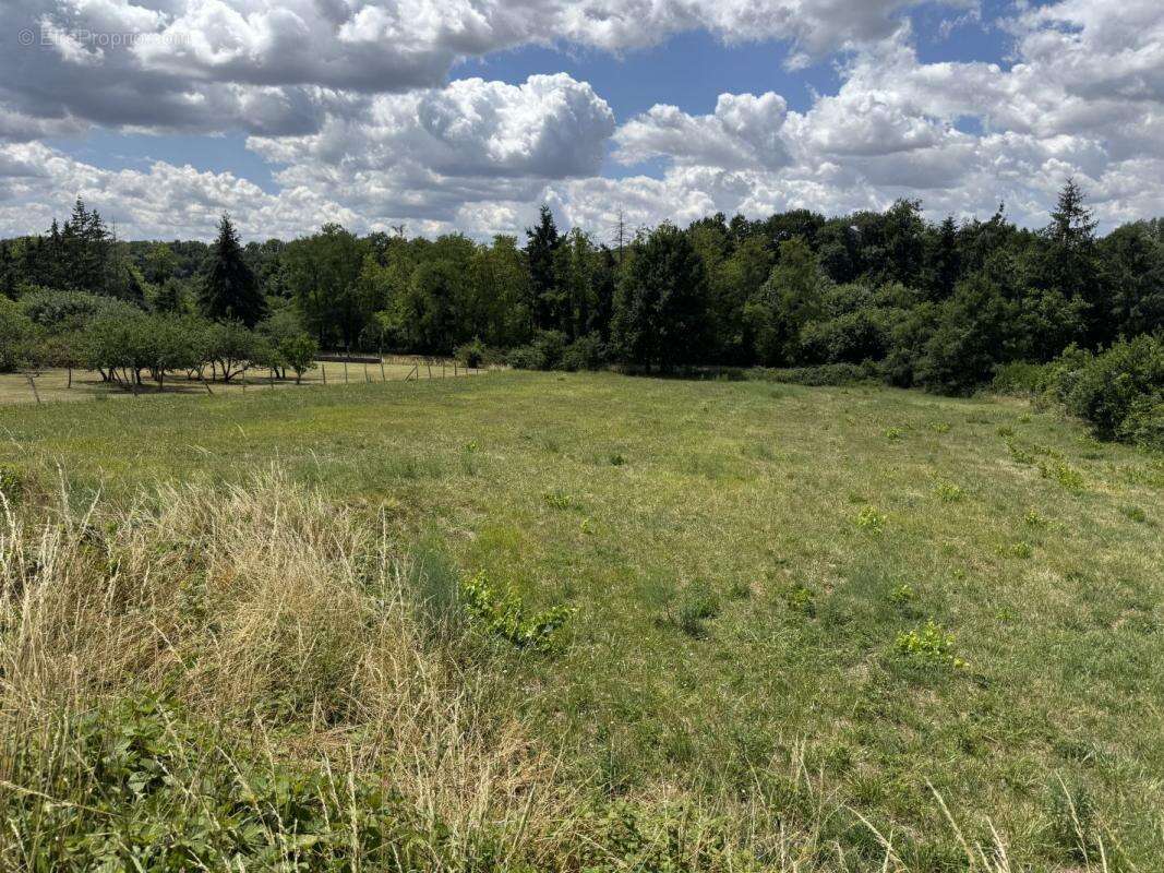 Terrain à DREVANT