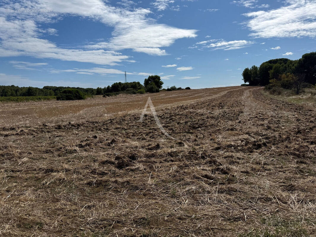 Terrain à MONTAGNAC