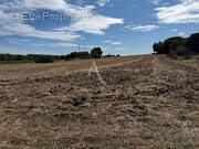 Terrain à MONTAGNAC