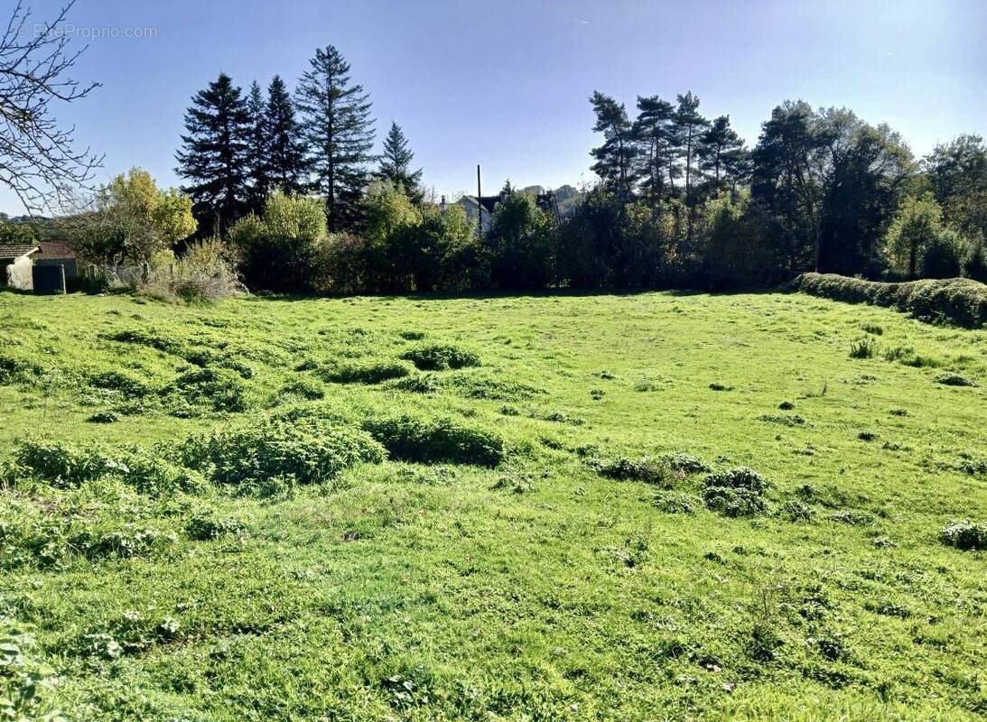 Terrain à SANSAC-DE-MARMIESSE