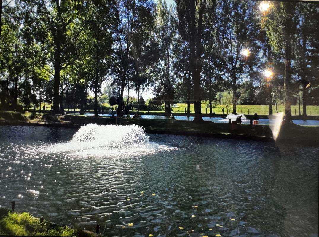 Commerce à ESCAUTPONT