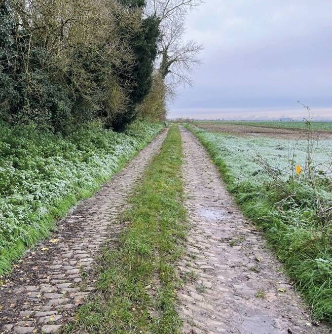 Terrain à ROUCOURT