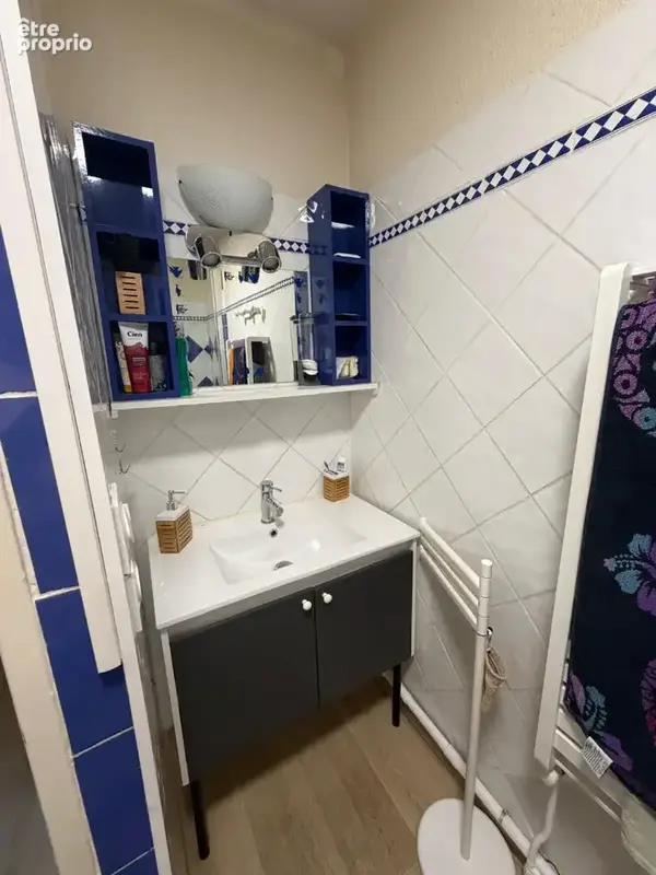 Appartement montpellier - alco - photo 10
