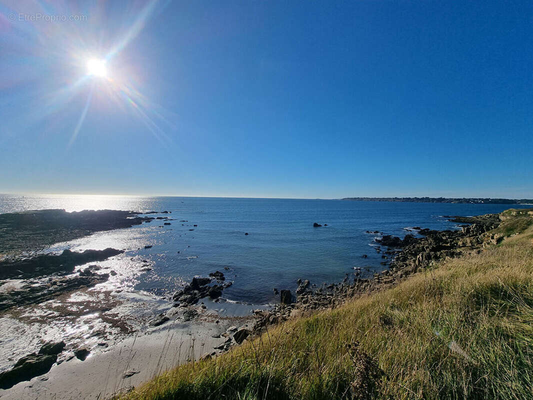Maison à MOELAN-SUR-MER