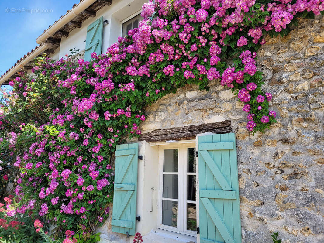 Maison à PAMPROUX