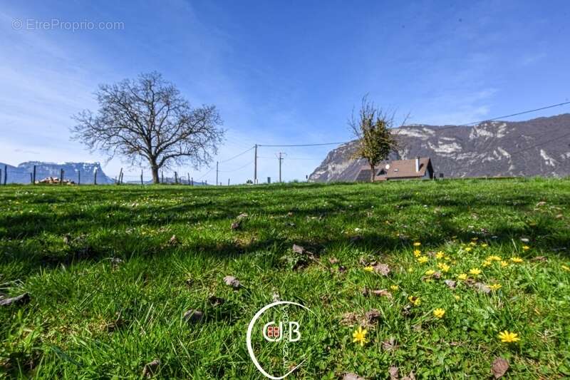 Planaise – Terrain constructible de 473 m² viabilisé - photo 13