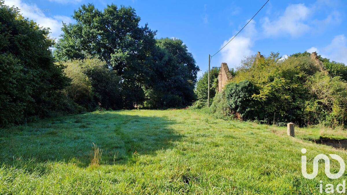 Photo 1 - Terrain à SENS-DE-BRETAGNE