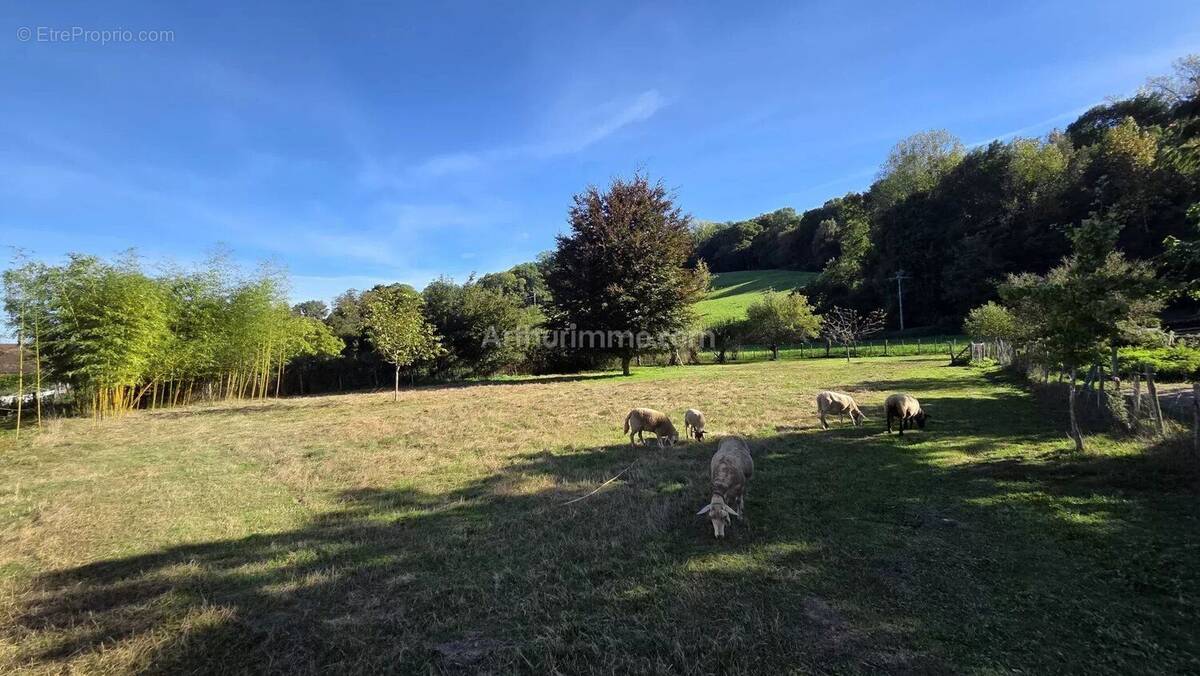 Terrain à SERMERIEU