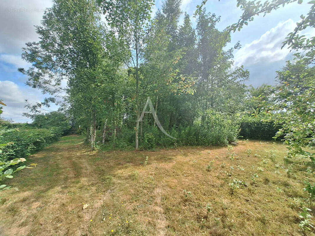 Vironchaux longère 2 chambres - photo 7