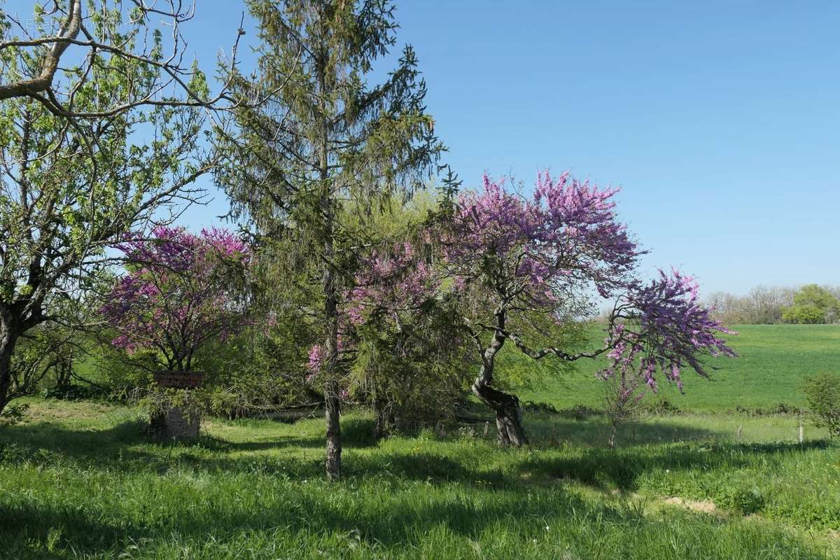 Maison à SAINT-FELIX-LAURAGAIS