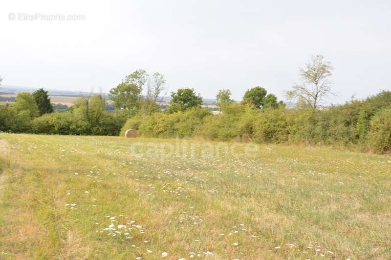Terrain à construire à vendre  ALLIGNY COSNE (58200) - photo 5