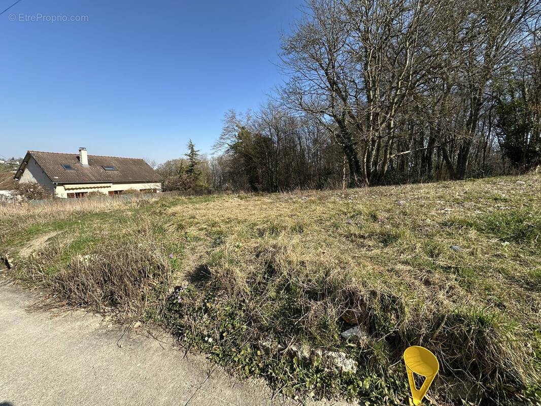 Terrain à VERZY