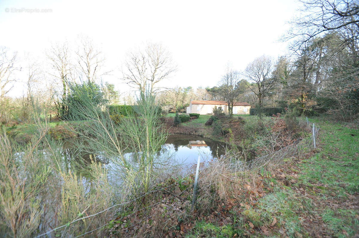 Maison à ARTHON-EN-RETZ