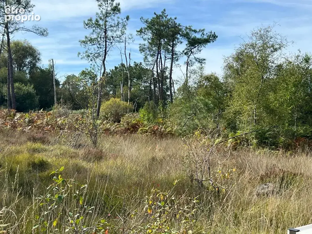 À vendre – argol – finistère – presqu’île de crozon-exceptionnel terrain de loisirs de 40 000 m² - photo 22