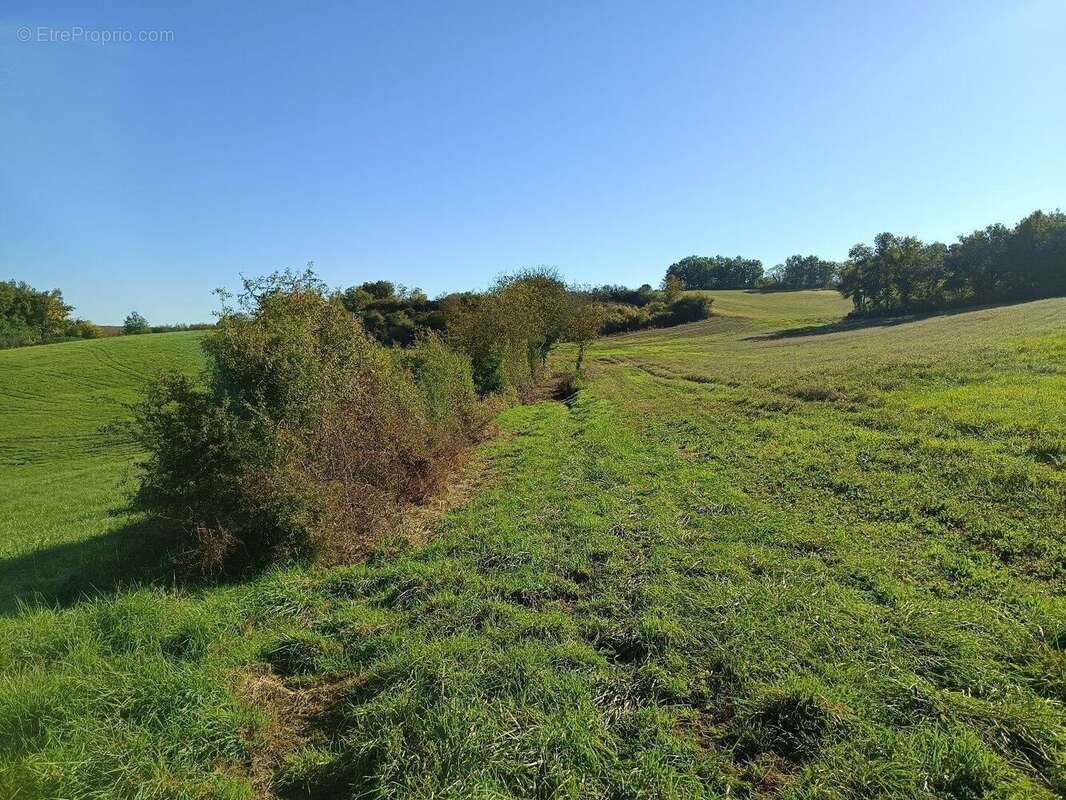 Terrain de 9582m² - photo 9