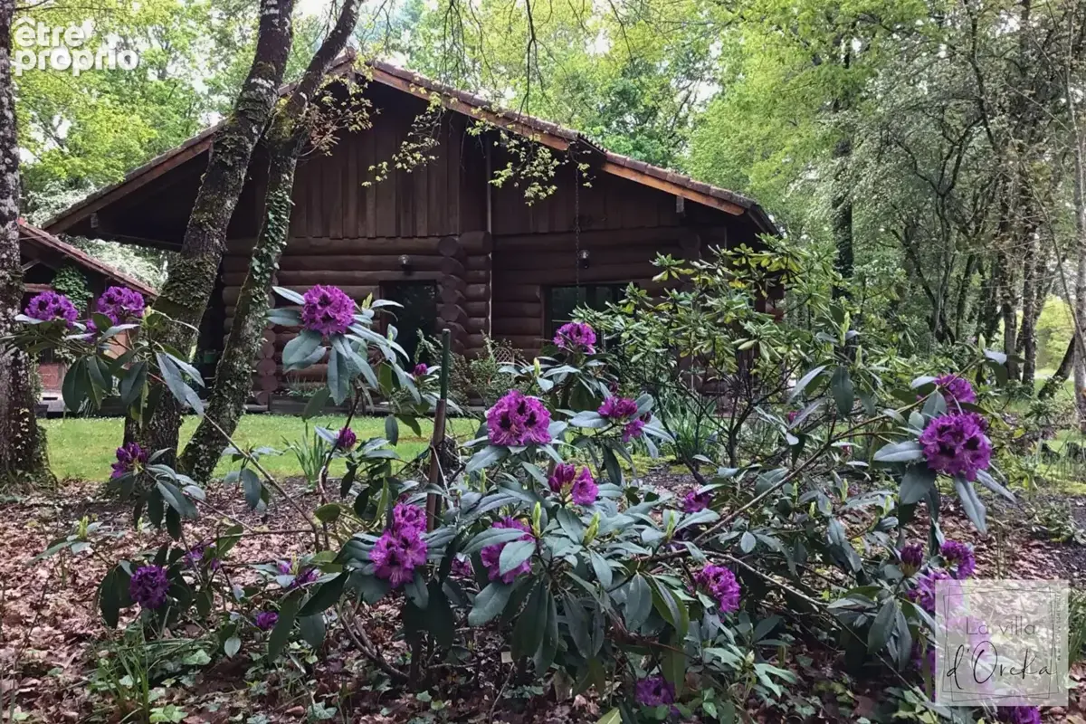 Agréable Maison de 158m2 bâtie en rondins de bois au coeur de la nature - photo 10