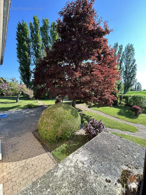 Maison à VILLERS-LES-POTS