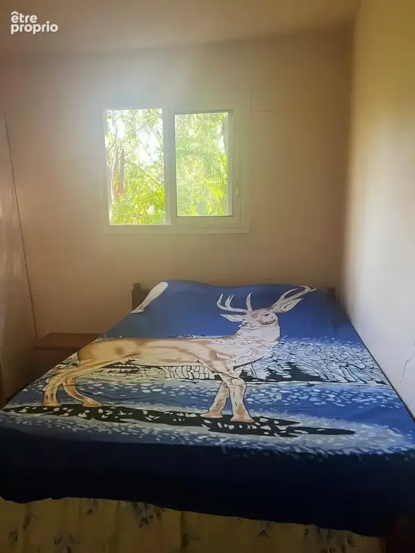 À vendre   maison f5 à petit-bourg (97170) - photo 4