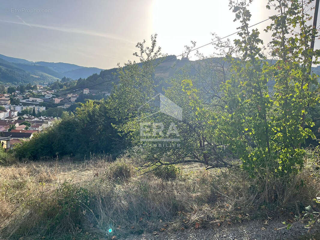 Terrain 960m² à tarare - photo 3
