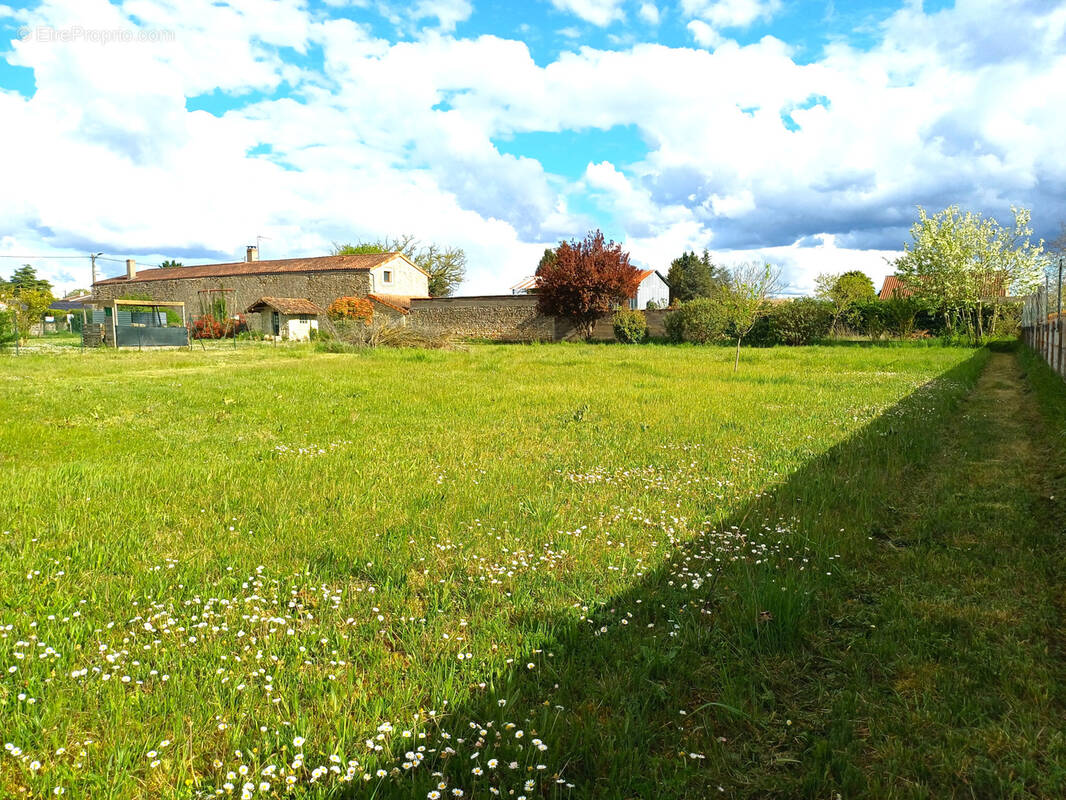 Terrain à BONNES