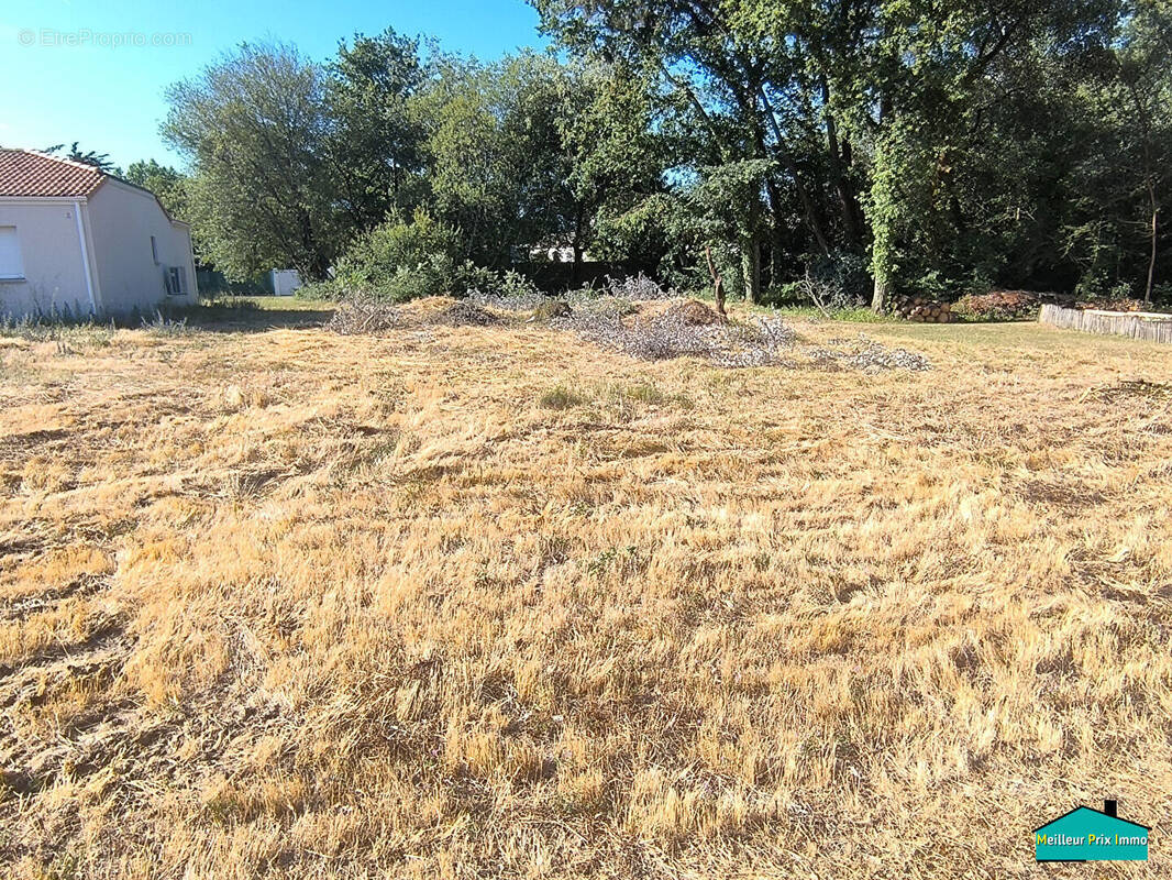 Terrain à SAINT-HILAIRE-DE-RIEZ