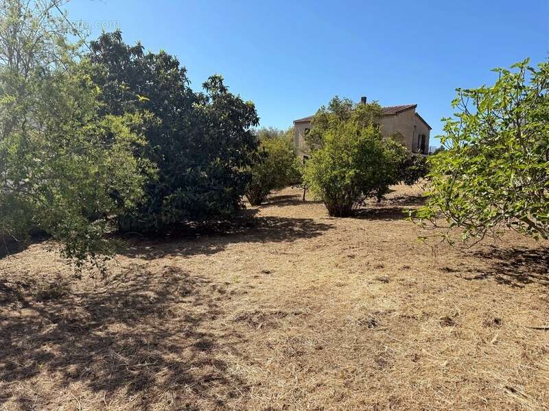En CORSE, proche AJACCIO, aux portes du village d'AFA, grande maison familiale de 168m2,  terrain arborés de 2300 m2 - photo 6