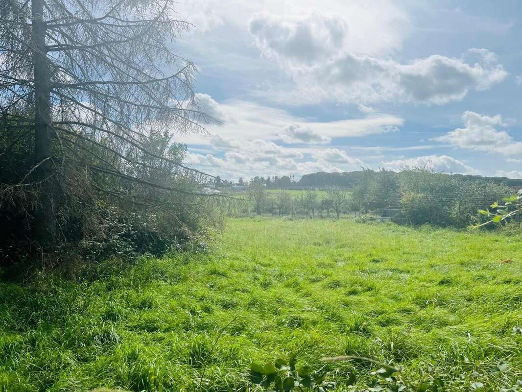 Photo 4 - Terrain à ROUSSY-LE-VILLAGE