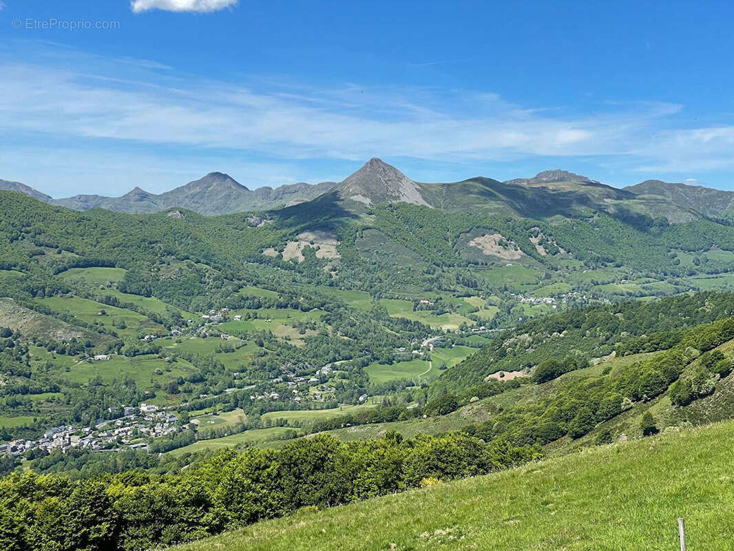 Magnifique buron - photo 3