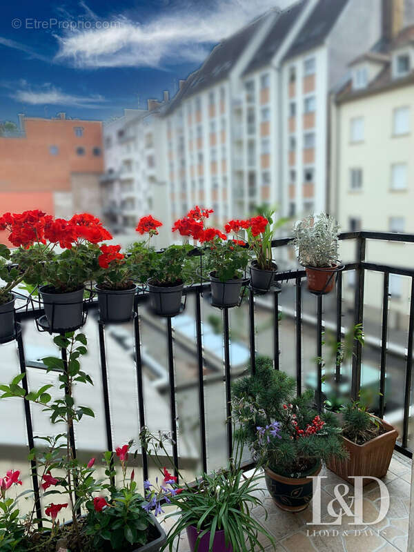 Balcon - Appartement à STRASBOURG