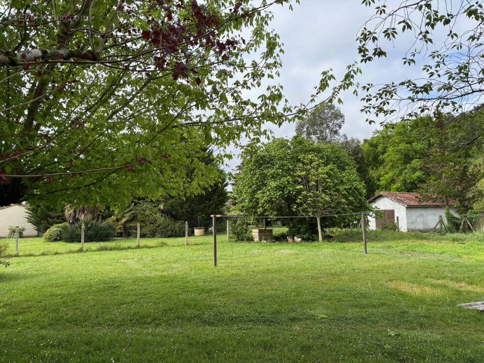 Terrain à CISSAC-MEDOC