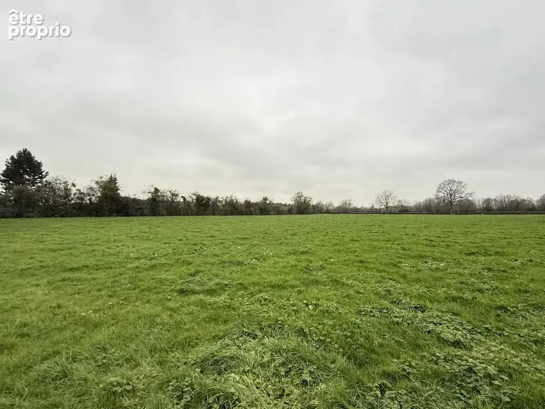Vente Terrain Gournay-en-bray(76220) 90 000ï¿œ - photo 8