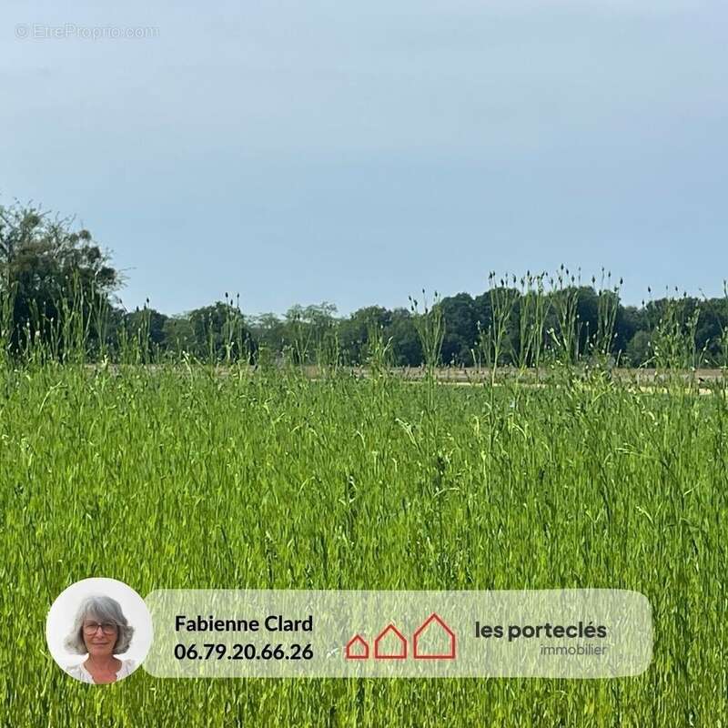 Terrain à IMBLEVILLE