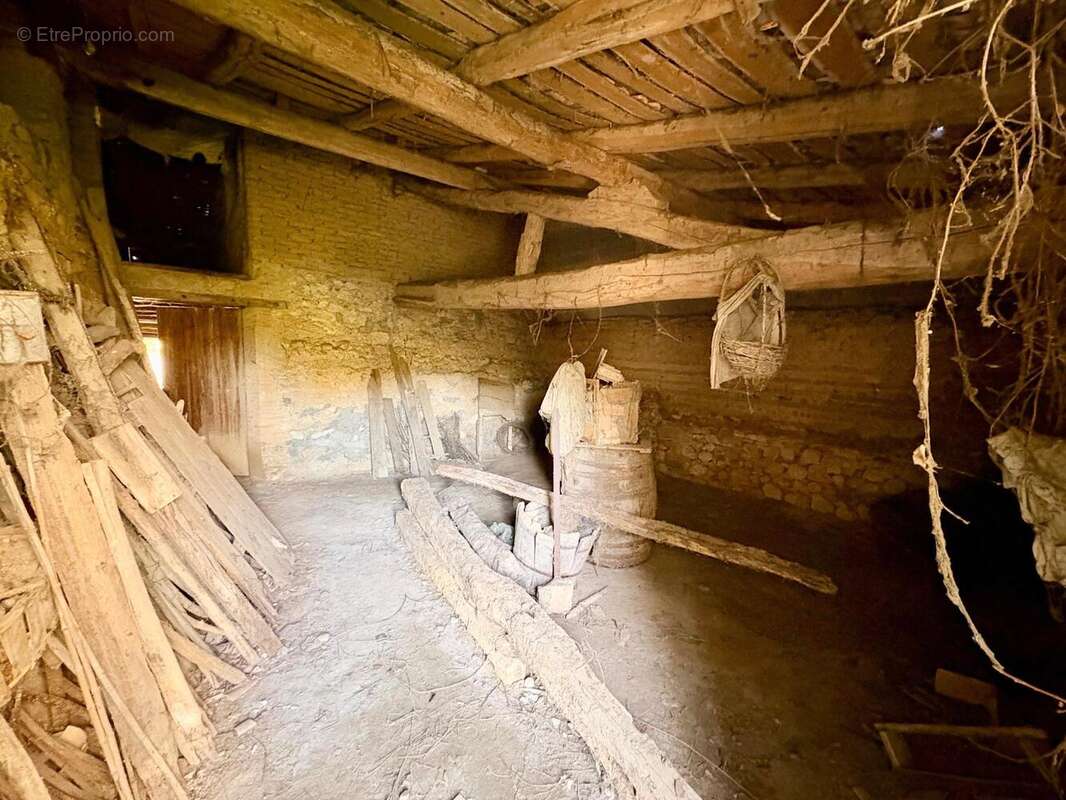 Photo 8 - Appartement à DUNES