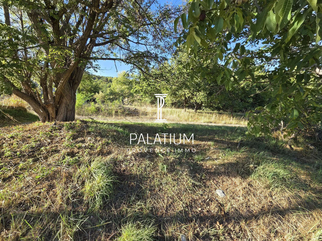 Terrain à MALLEMOISSON