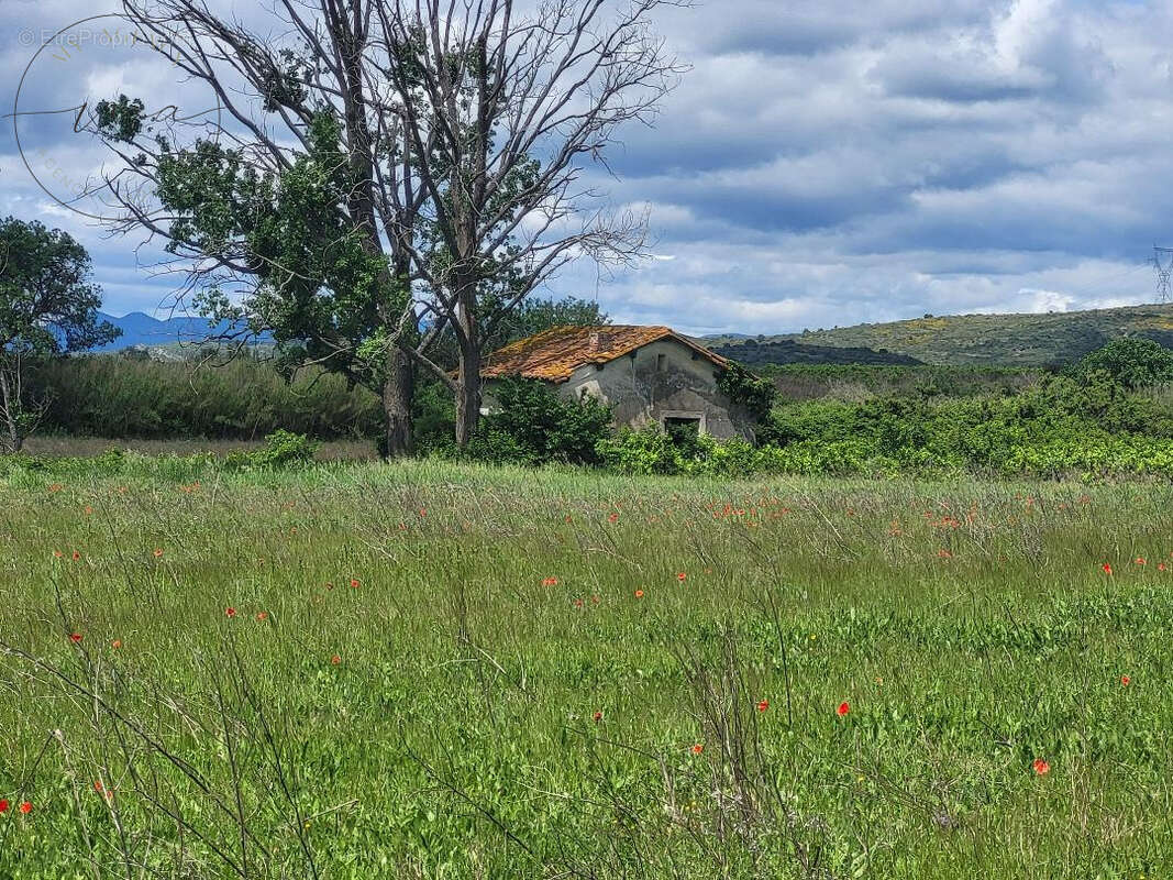 Terrain à CAUX