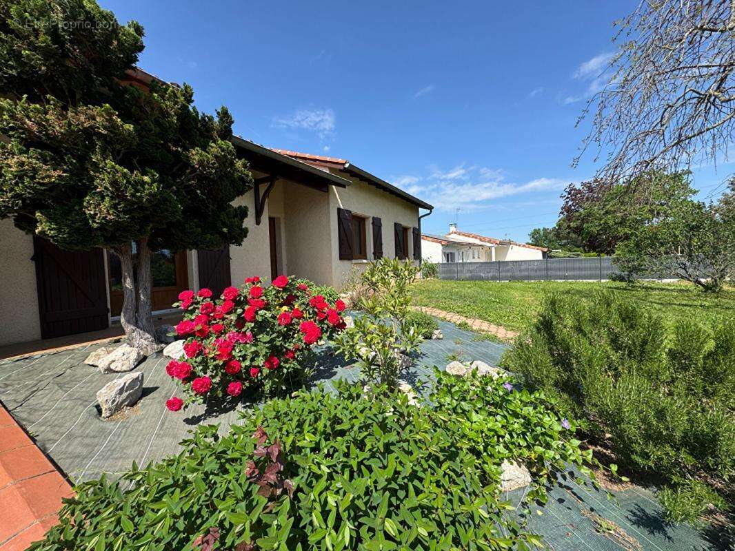 Maison/Villa CORNEBARRIEU  Avec Piscine - 4 pièce(s) - 105 m2 - photo 4