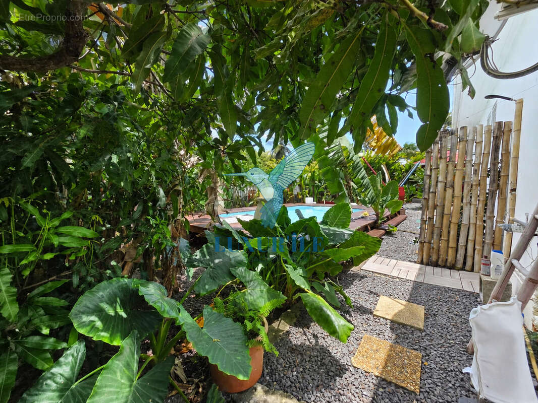 Baie-Mahault   Secteur recherché de La Jaille  Superbe villa T4 avec piscine et jardin - photo 18