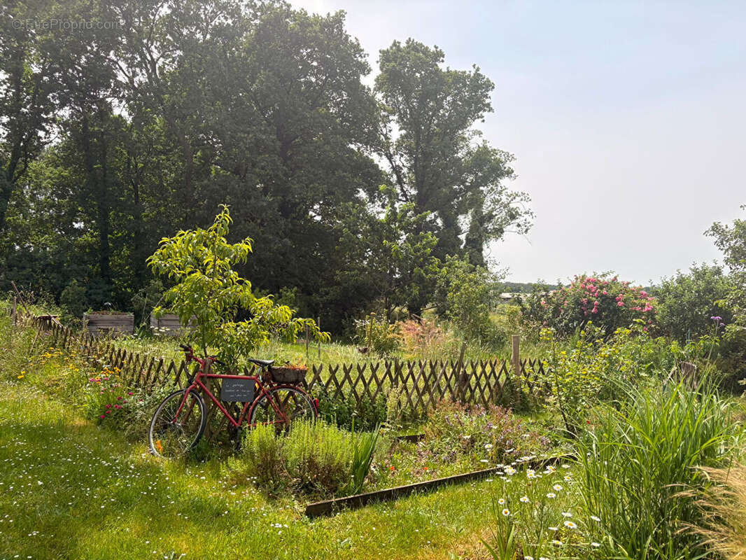 Herbignac, maison ossature bois de plain pied sur un terrain de 1961 m² au calme, 3.5 kms des commerces, 15 minutes des plages,  - photo 2