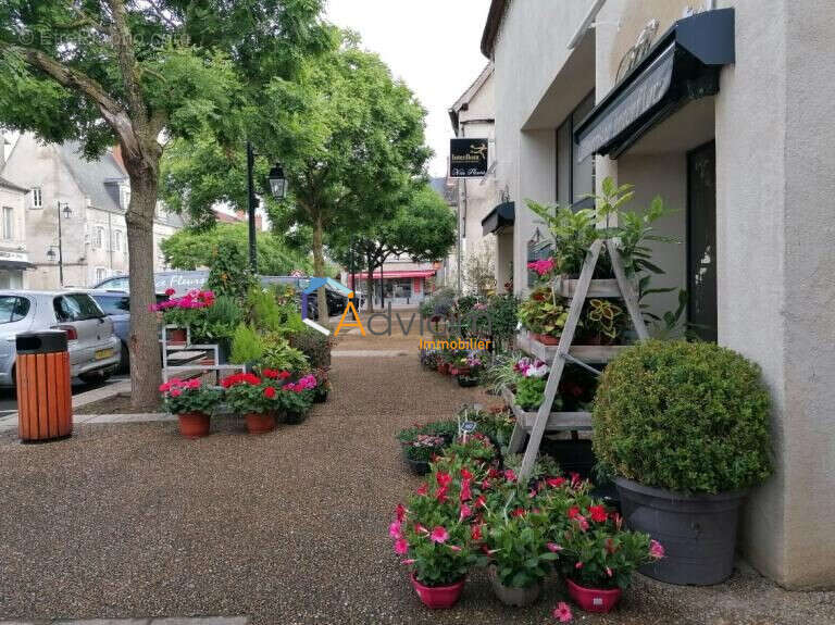 Commerce à DUN-SUR-AURON